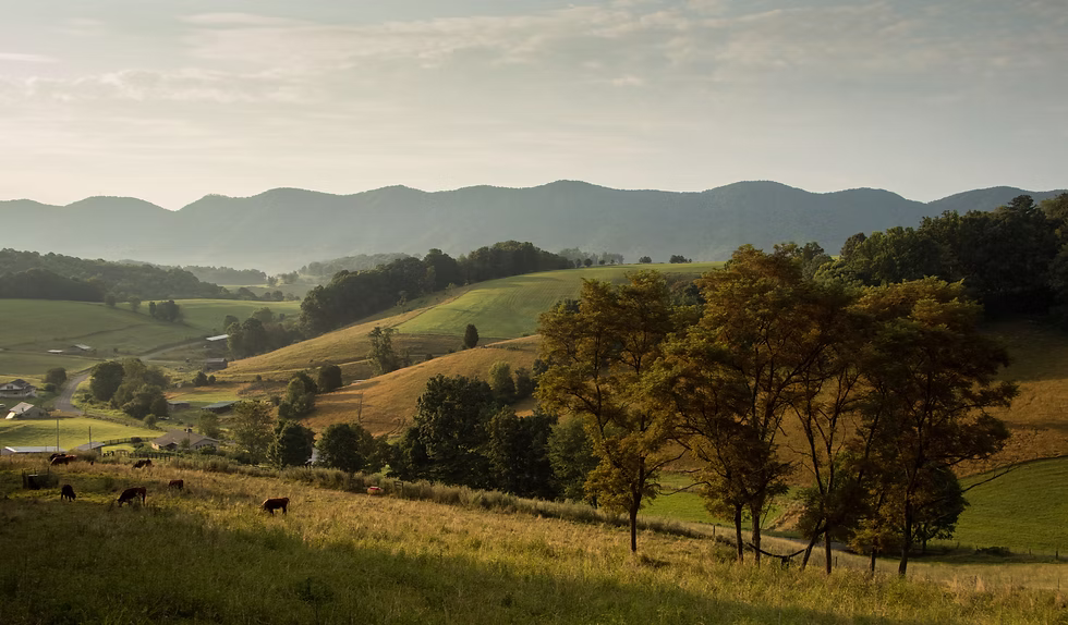 virginia farmland.jpg